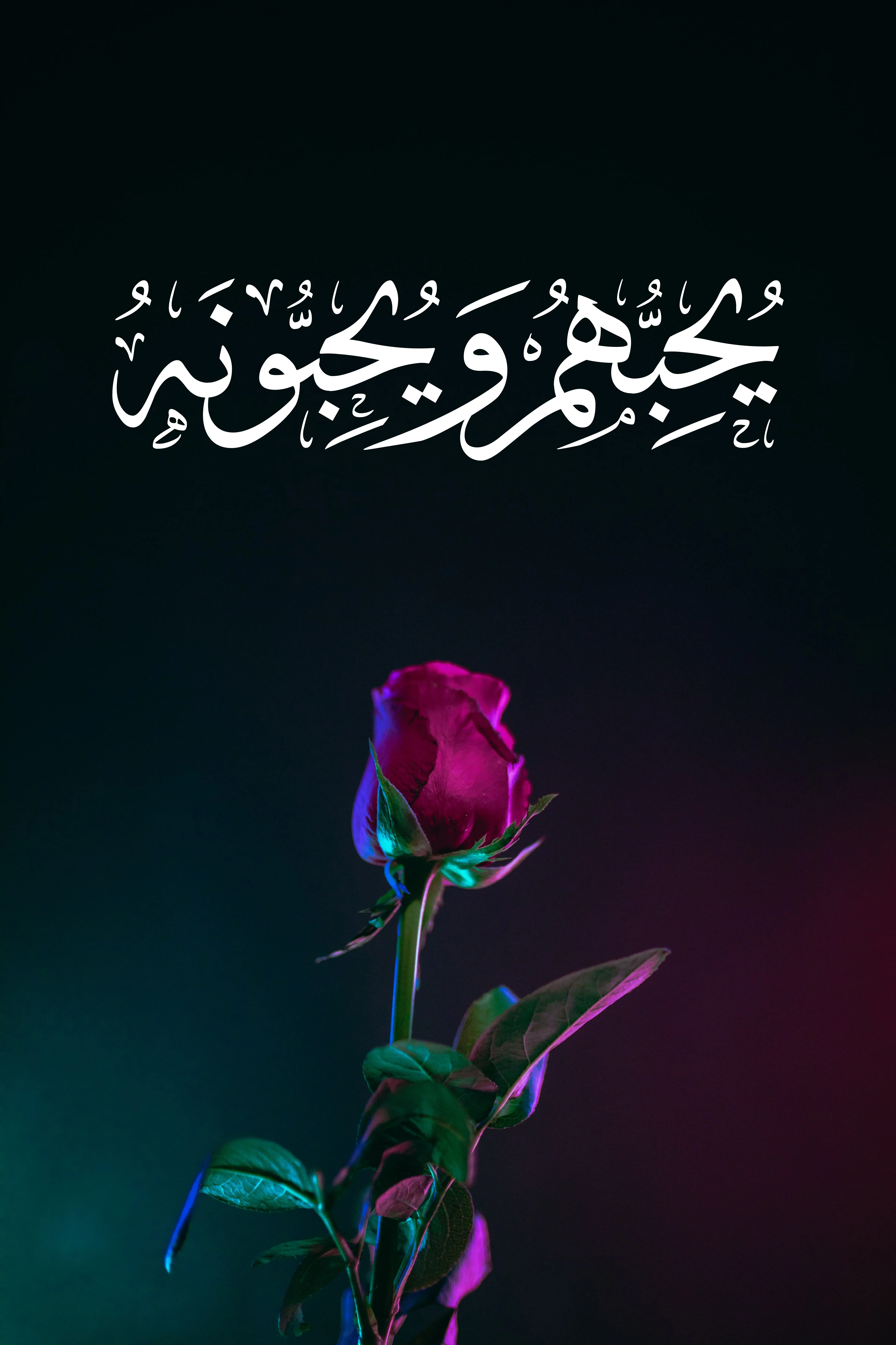 Arabic calligraphy reading: يحبهم ويحبونه